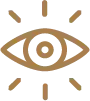 Vision gold icon