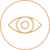 Vision gold icon